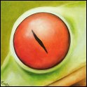 Augenblick eines Rotaugenfrosches; Acryl auf Leinwand;
30 x 30 cm
